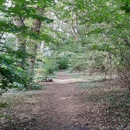 Casa de Campo Haramara *