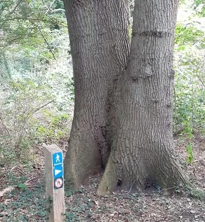 Haramara * Vester-Skerninge