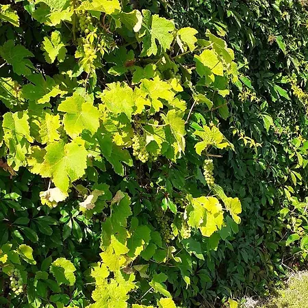 Haramara Casa de Campo *