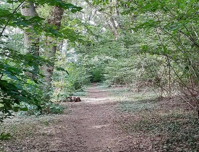 Country house Haramara *