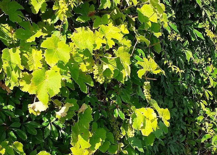 Haramara Country house *