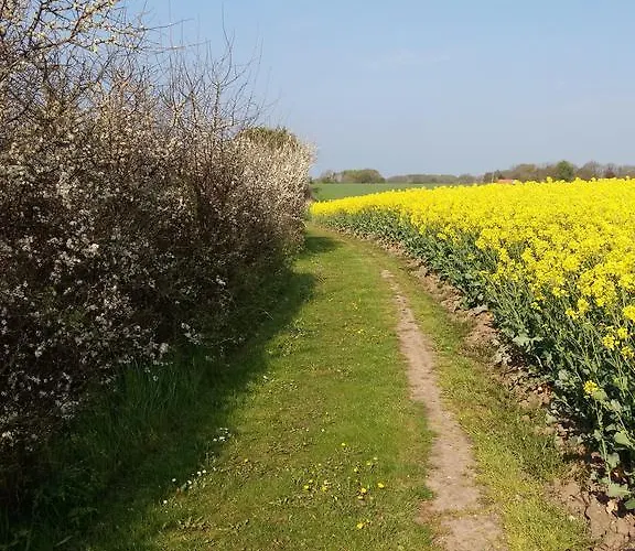 Country house Haramara